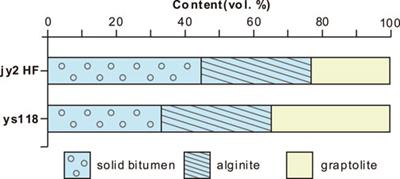 Variation of Organic Pore Structure With Maceral Types in the Longmaxi Shale, Sichuan Basin